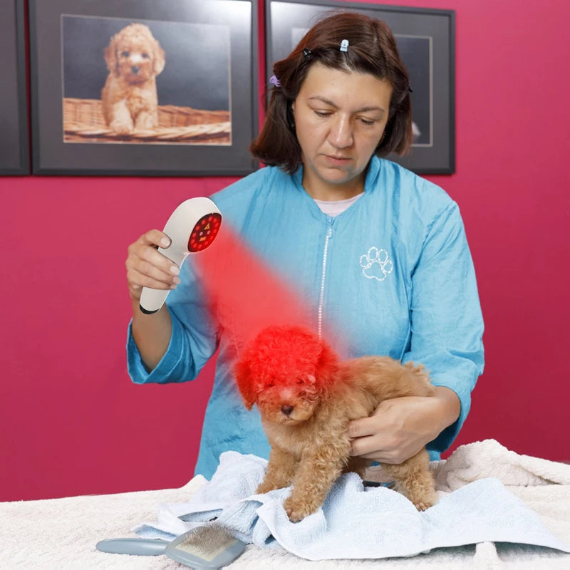 Handheld Dog Laser Therapy For Pain Relief And Wound Healing