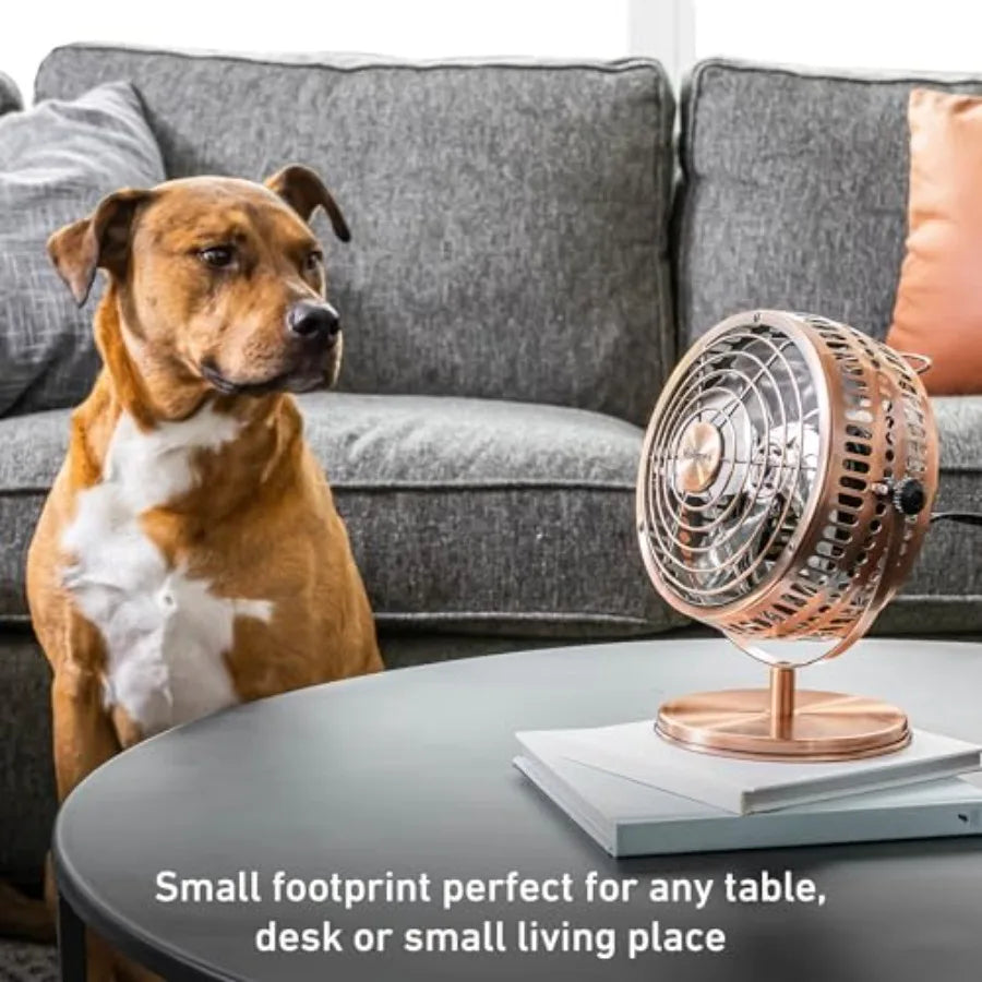 Table Fan With Two Speeds And 145 Degree Adjustable Tilt