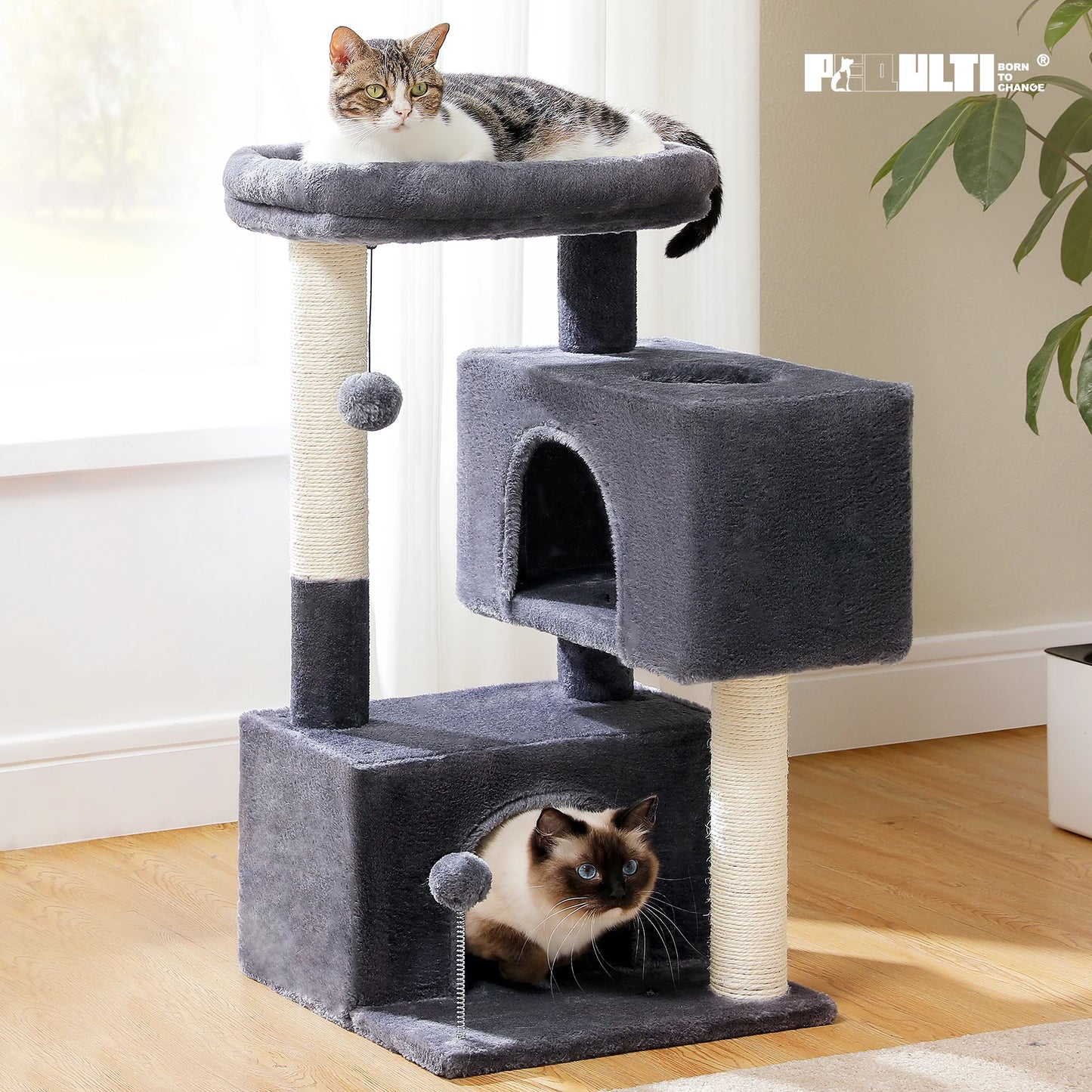 PAWZ Road Cat Tower with Condos and Sisal Scratching Pad