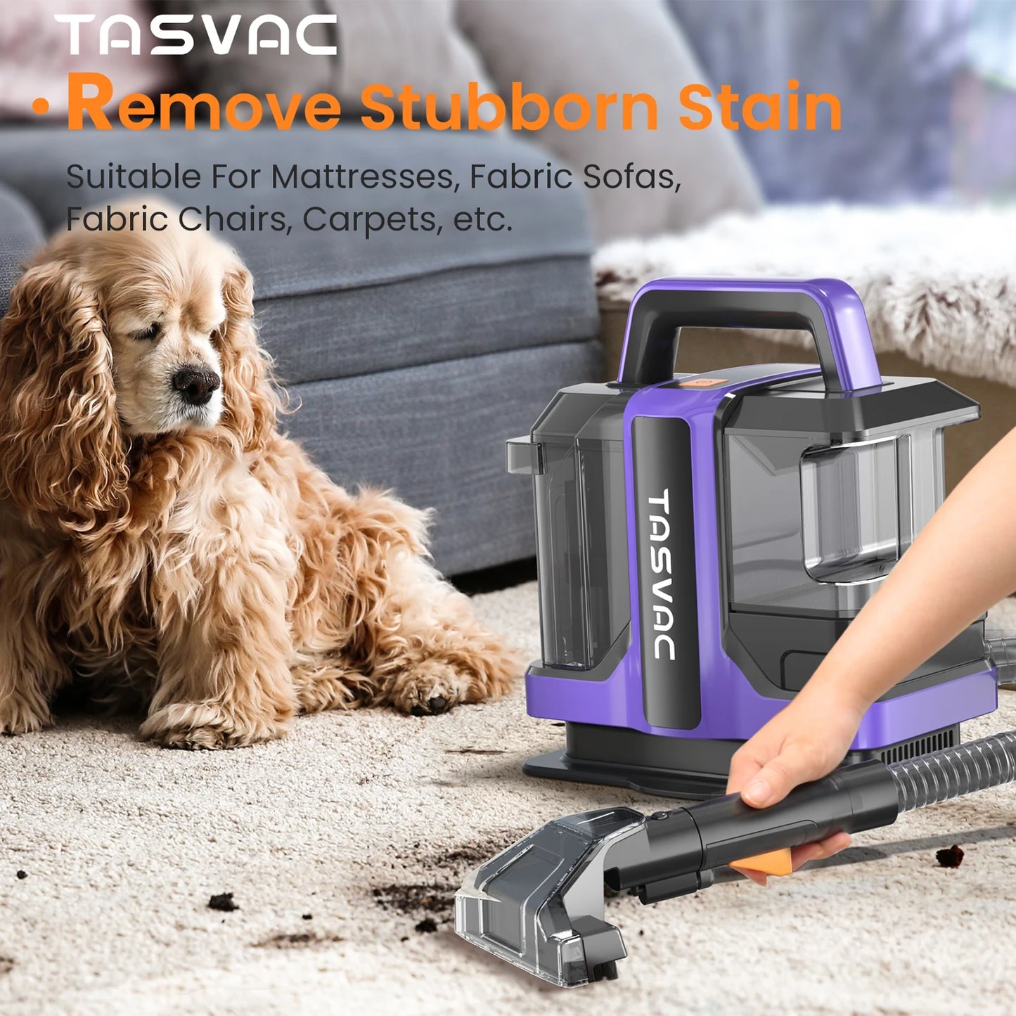 INSE Portable Carpet And Upholstery Cleaner For Pets