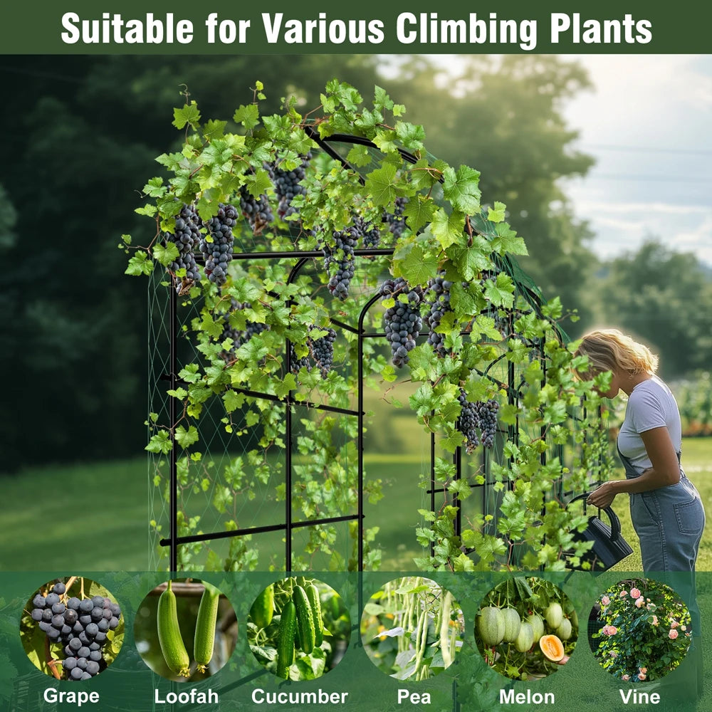 Wisfor U Shaped Metal Tall Plant Trellis Frame For Climbing