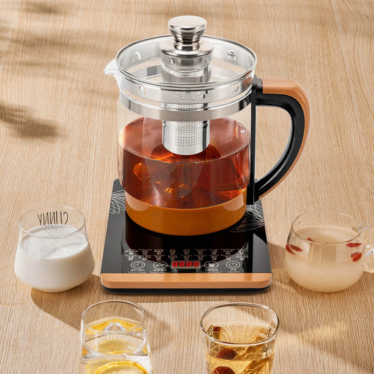 Electric Glass Tea Kettle With Warmer