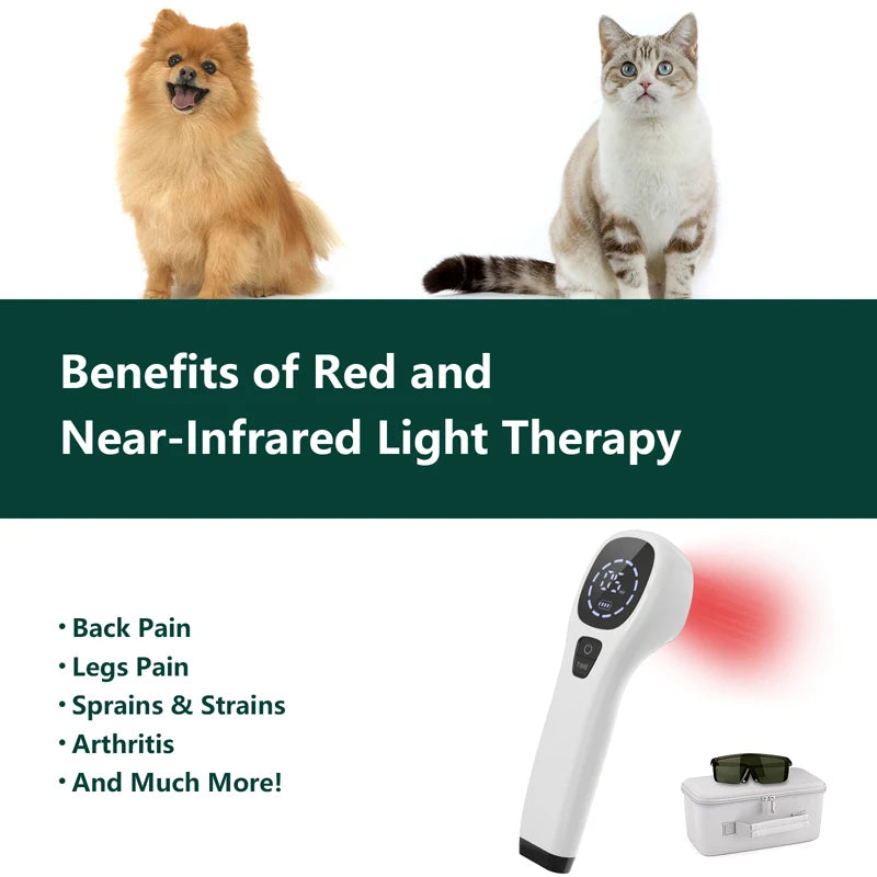 Handheld Dog Laser Therapy For Pain Relief And Wound Healing