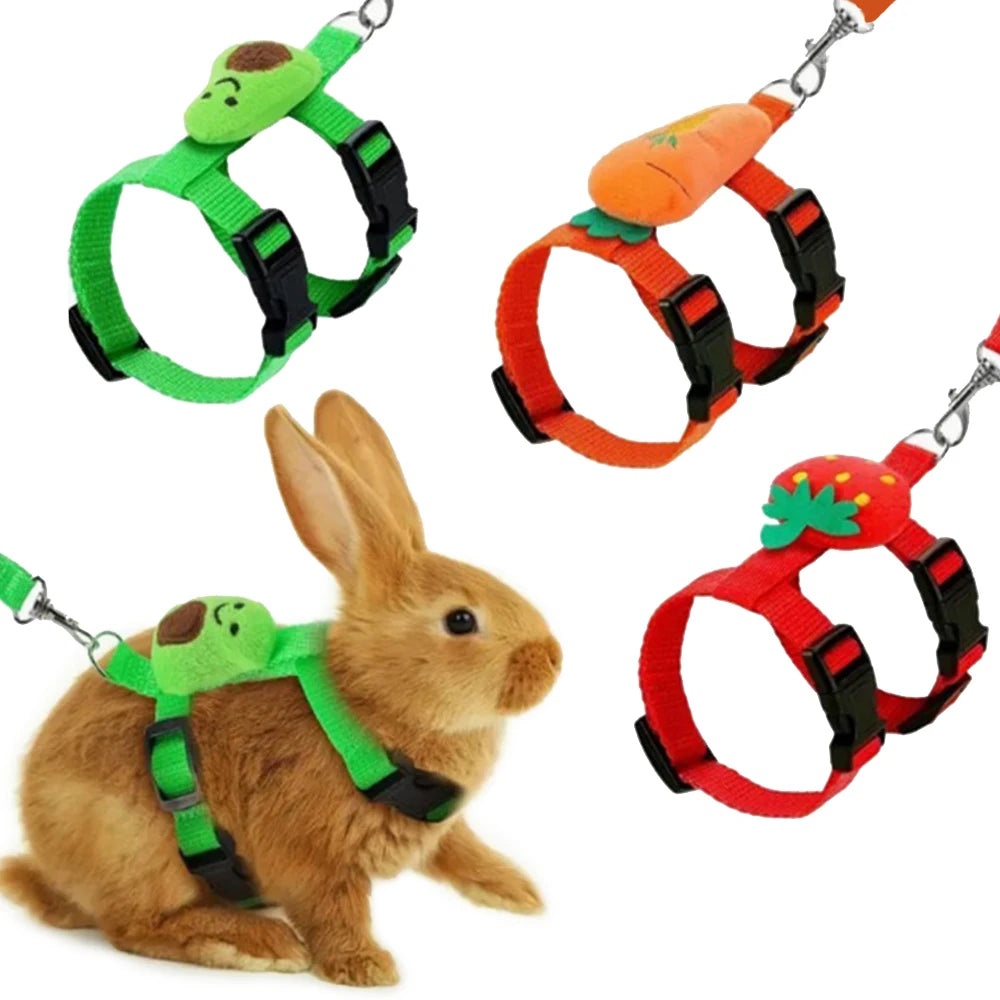 Findixpet Adjustable Rabbit Cat Harness And Leash Set