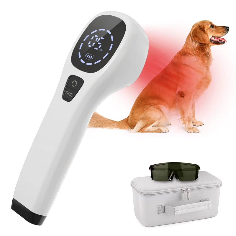 Handheld Dog Laser Therapy For Pain Relief And Wound Healing
