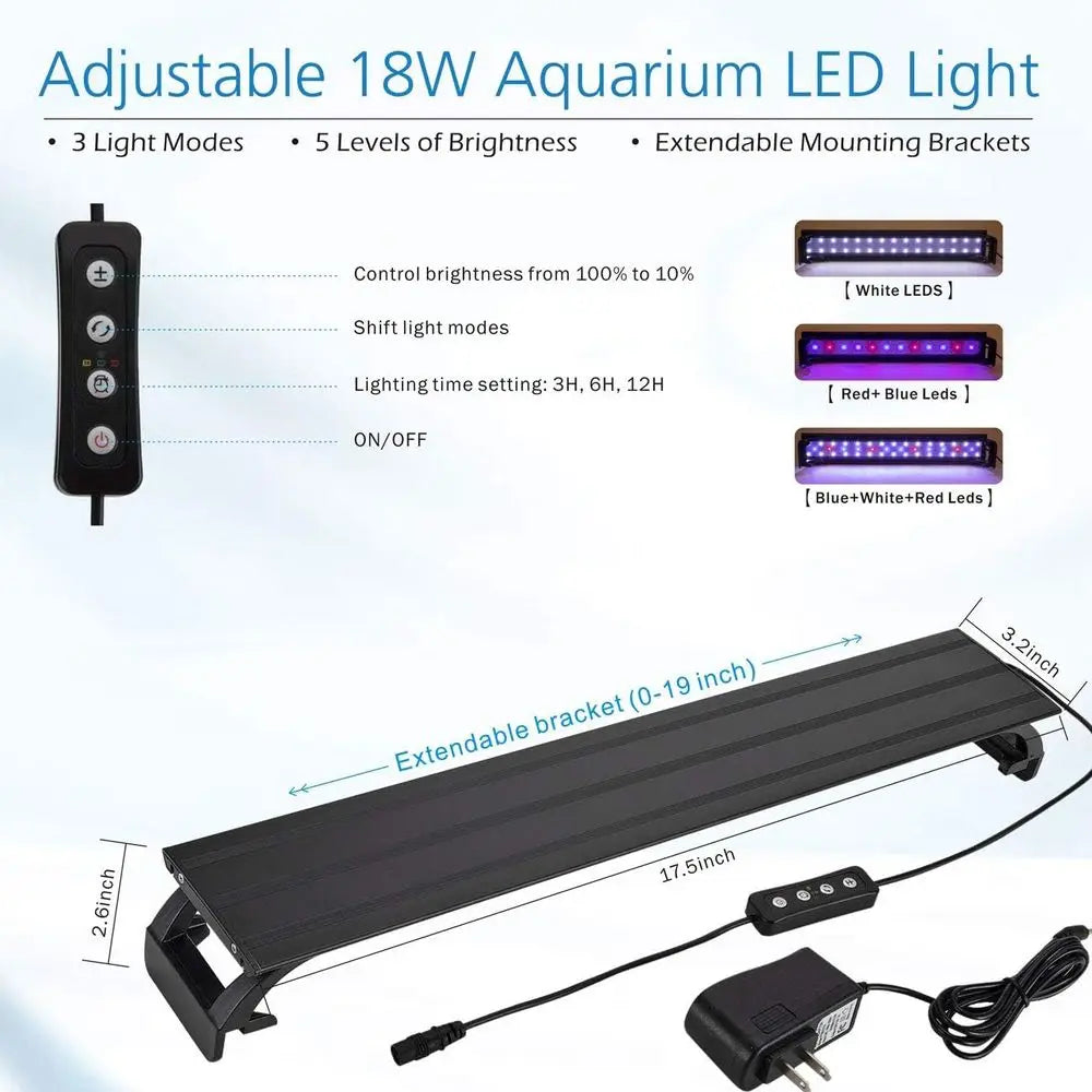 Glass Aquarium Kit With Curved View And 3D Rock Decor