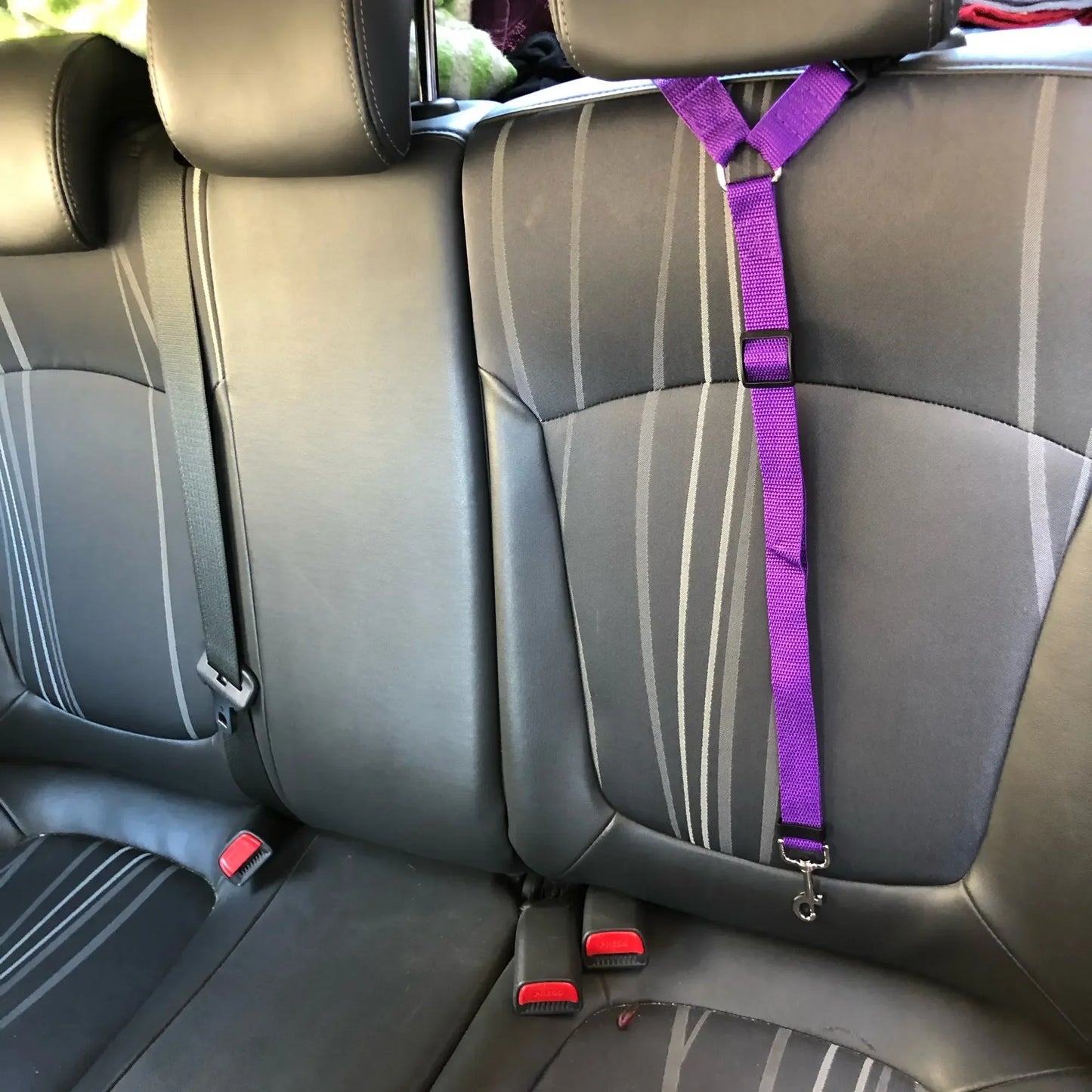 Solid Color Pet Backseat Safety Belt Adjustable