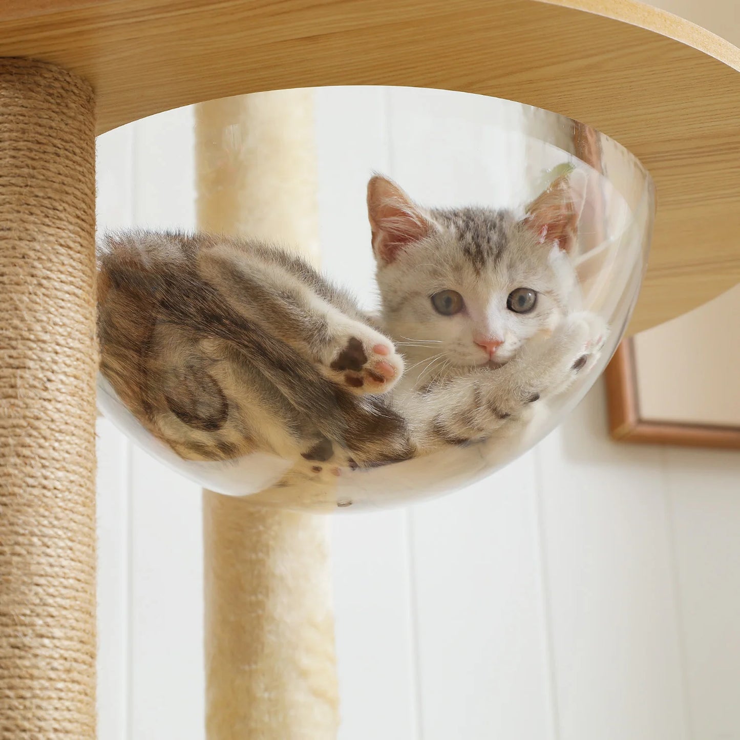 PAWZ Ro Multi Level Cat Tree For Active Indoor Adventures
