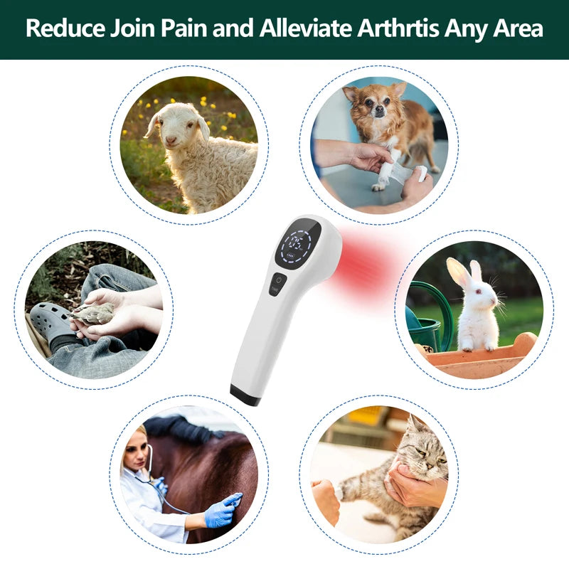 Handheld Dog Laser Therapy For Pain Relief And Wound Healing