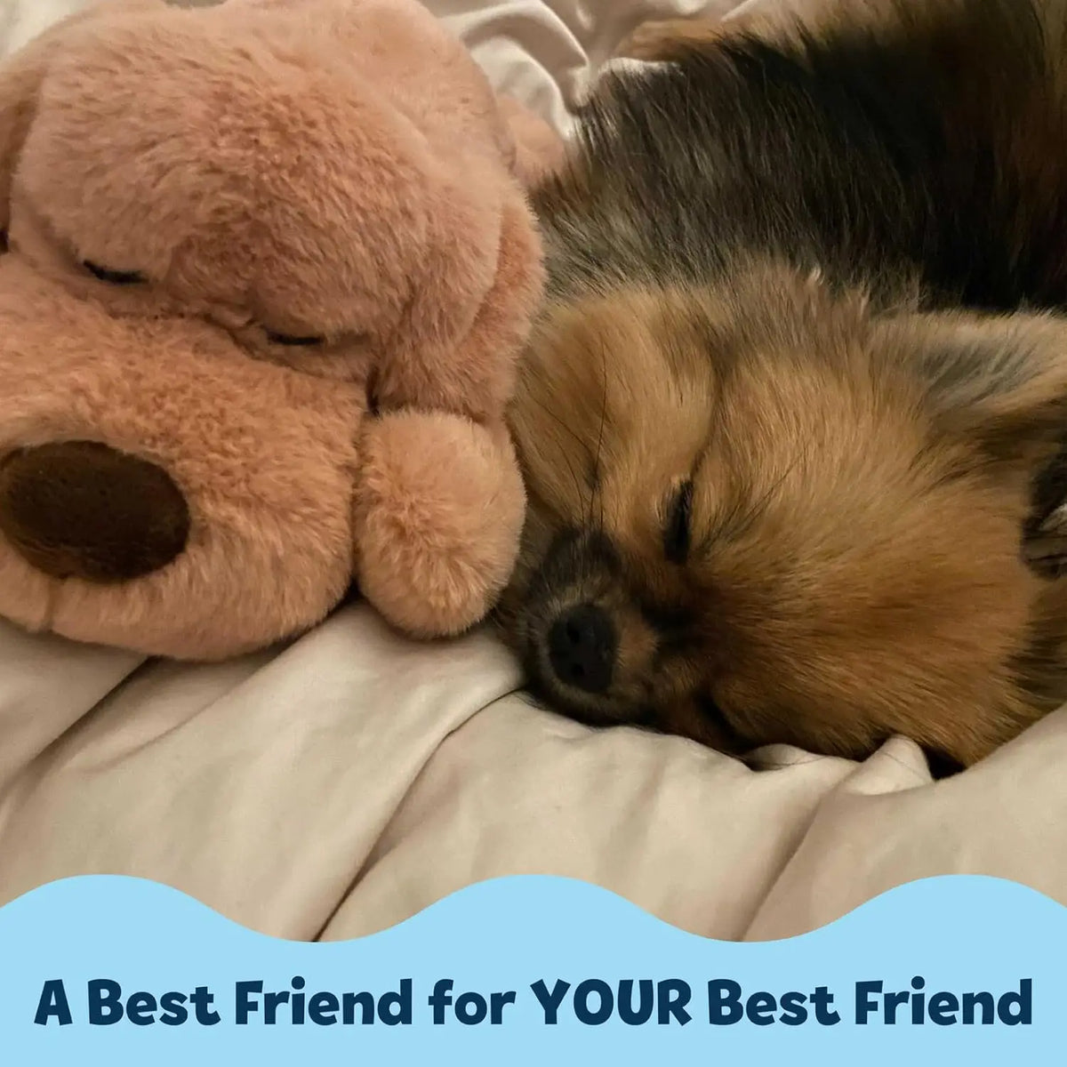 Heartbeat Puppy Toy for Small Breeds