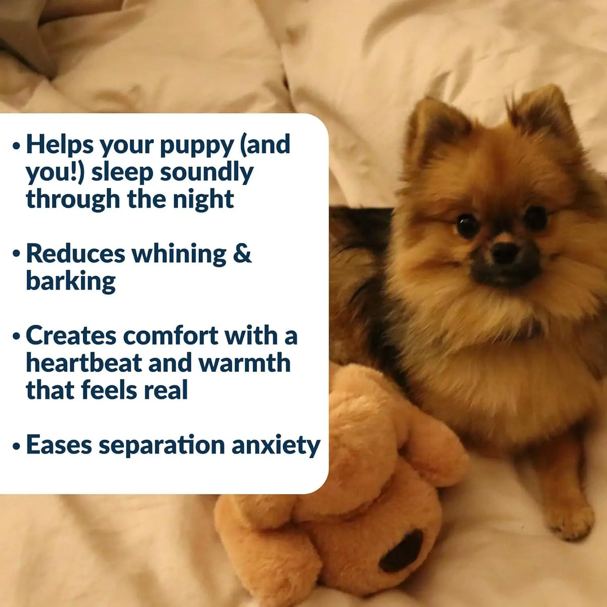Heartbeat Puppy Toy for Small Breeds