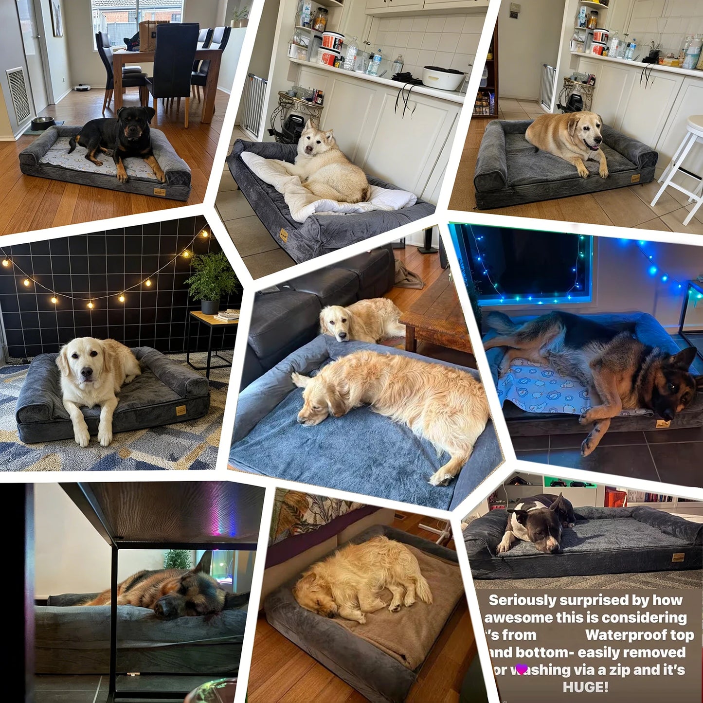 Calming Orthopedic Memory Foam Dog Bed Sofa