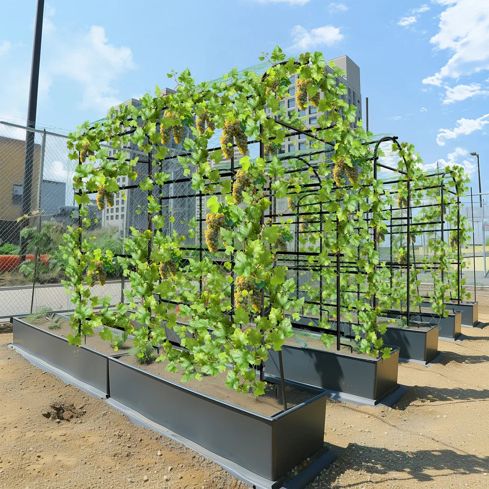 Wisfor U Shaped Metal Tall Plant Trellis Frame For Climbing