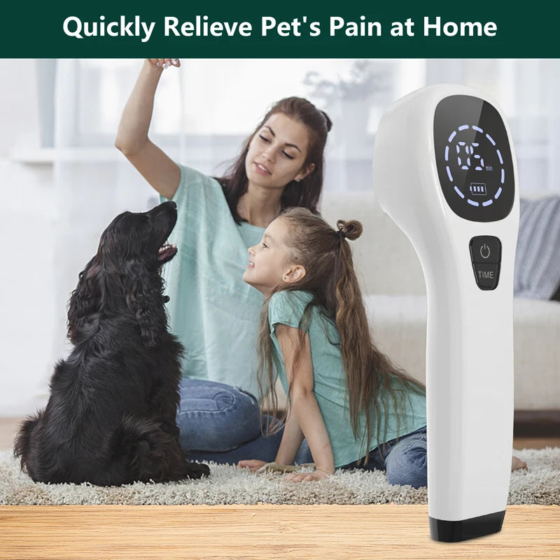 Handheld Dog Laser Therapy For Pain Relief And Wound Healing